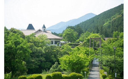 奥伊勢 フォレストピア 宮川山荘 利用券 1000円分×6枚／利用期限なし チケット クーポン券 宿泊 入浴 BBQ バーベキュー アスレチック レンタサイクル 温泉 レストラン 喫茶店 体験 宿泊券