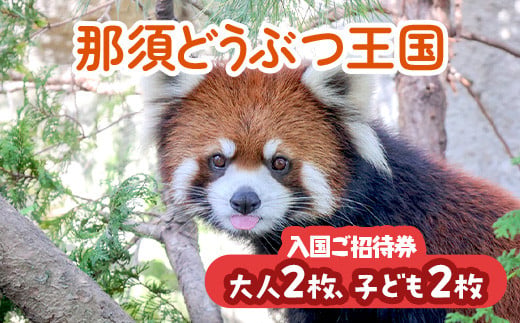 那須どうぶつ王国 ご招待券（大人2名 小人2名） ｜ 動物 動物園チケット 動物園 どうぶつえん チケット 券 入場券 入園券 観光 ファミリー 家族 お出かけ 旅行 栃木県 那須町〔P-155〕