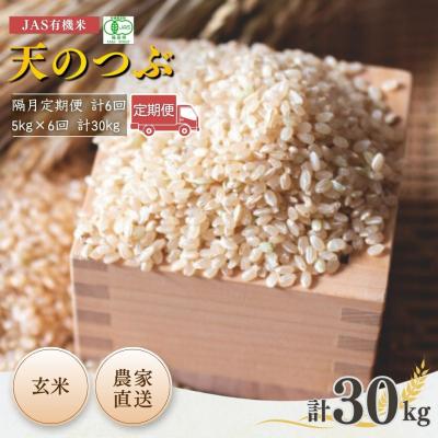 ふるさと納税 南相馬市 8年産先行予約 毎月定期便 天のつぶ 玄米 5kg×6回 有機米 根本有機農園 bd005-am