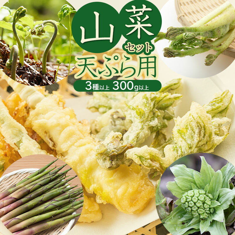 【ふるさと納税】【令和8年発送】山菜セット天ぷら用（3種以上） 計300g以上 山形県鶴岡産　グレイスファーム