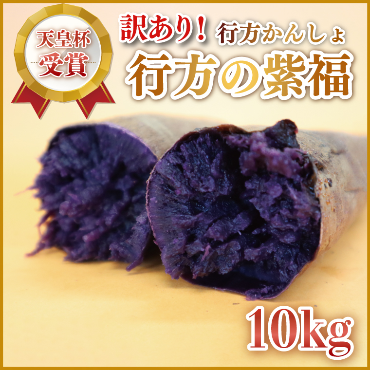 【訳あり】行方かんしょ「行方の紫福」さつまいも約10kg（洗い・不揃い・C品）｜さつまいも サツマイモ さつま芋 お芋 行方の紫福 訳あり わけあり 訳アリ 行方かんしょ 茨城県 行方市(AE-113)