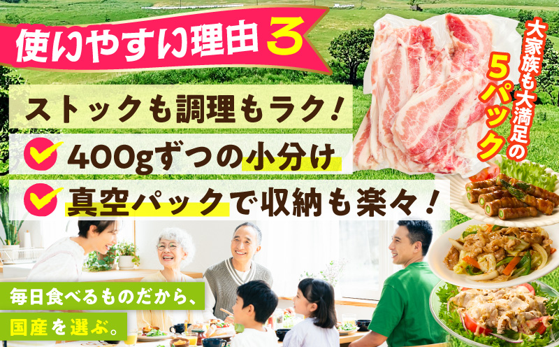 【数量限定】国産 豚バラ 切り落とし 2kg【味付け 豚肉 400g×5P 小分け 訳あり 部位不揃い 大阪 泉佐野 大阪府 泉佐野市】
