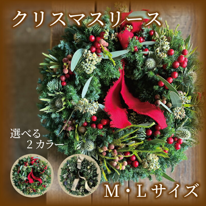 【ふるさと納税】 クリスマスリース クリスマス リース 先行受付 赤 花 ドライフラワー ドライリース フレッシュリース インテリア プレゼント お花 ギフト クリスマスギフト おしゃれ 壁飾り くりすます Christmas 人気 ヘリアントスガーデン 1個 神奈川 湘南 藤沢
