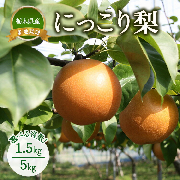 【ふるさと納税】【選べる容量】【産地直送】にっこり梨　1.5kg（2玉）・5kg（5玉～7玉） ※離島への配送不可　※2025年10月上旬～10月下旬頃より順次発送予定