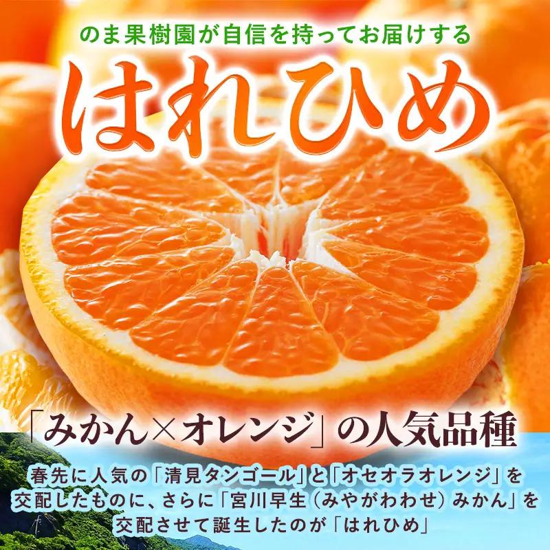 【先行予約】はれひめ（3kg）