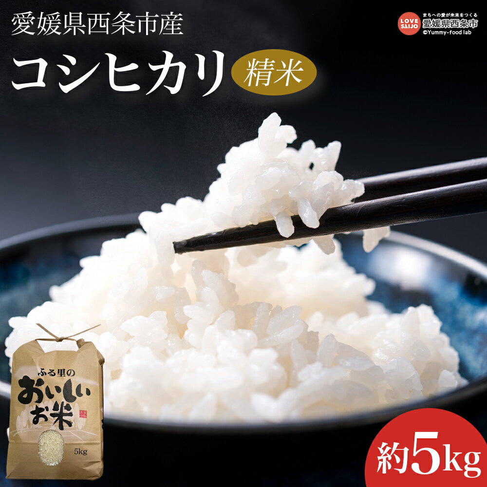 【ふるさと納税】＜令和7年度産 愛媛県西条市産 コシヒカリ 精米 5kg＞※翌月末迄に順次出荷します。新米 こしひかり 白米 お米 こめ コメ ご飯 ごはん ライス おにぎり 夕食 非常食 備蓄 国産 おの農園 愛媛県 西条市【常温】