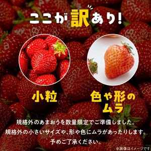 【数量限定】【2027年2月から順次発送】ファミリー向け あまおう約250g×2パック【訳あり】_あまおう いちご 果物 フルーツ ストロベリー〔Fi068〕