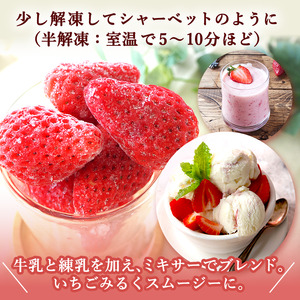 【訳あり】冷凍いちご いちご 1kg入り 冷凍 フローズン果物 デザート 赤いちご 苺 イチゴ 果物 くだもの フルーツ 旬のフルーツ 季節のフルーツ 旬の果物 季節の果物 福岡 福岡県 小郡市