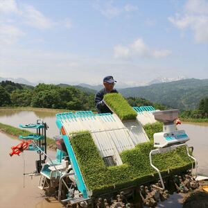 令和7年産 新潟県上越市名立区産 コシヒカリ 棚田米 「灘立銀嶺米 光」 5kg 3か月定期便 上越市 精米 米 コメ ブランド米