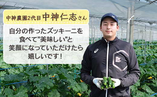 【産地直送】中神農園の ズッキーニ 約2kg (10～12本) 【期間限定：11月下旬～5月下旬発送】野菜 夏 やさい 煮る 炒める 生食 ミネラル ビタミンC ずっきーに 新鮮 甘み 酸味 用途多様