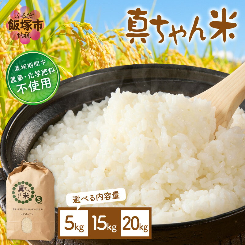 【ふるさと納税】＼内容量が選べる／【令和8年産】農薬・化学肥料不使用 真ちゃん米 5kg 15kg 20kg