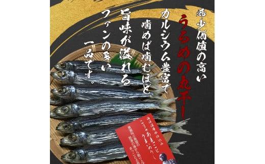うるめ いわし 300g 干物 鰯 煮干し 真いわし 真鰯 稚魚 おやつ 乾物 魚介 加工品 ウルメ 丸宮 宮本 商店 土佐 海洋深層水 ミネラル 高知県 須崎市 MMY-21all