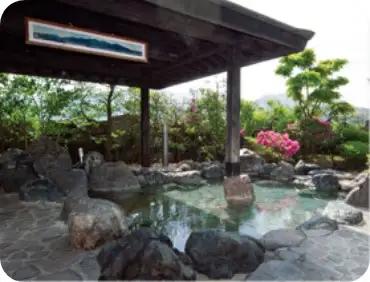 さくらんど温泉 入館回数券 12枚綴り 大人・子ども共通 | 新潟県五泉市 日帰り温泉 入浴券 チケット 利用券