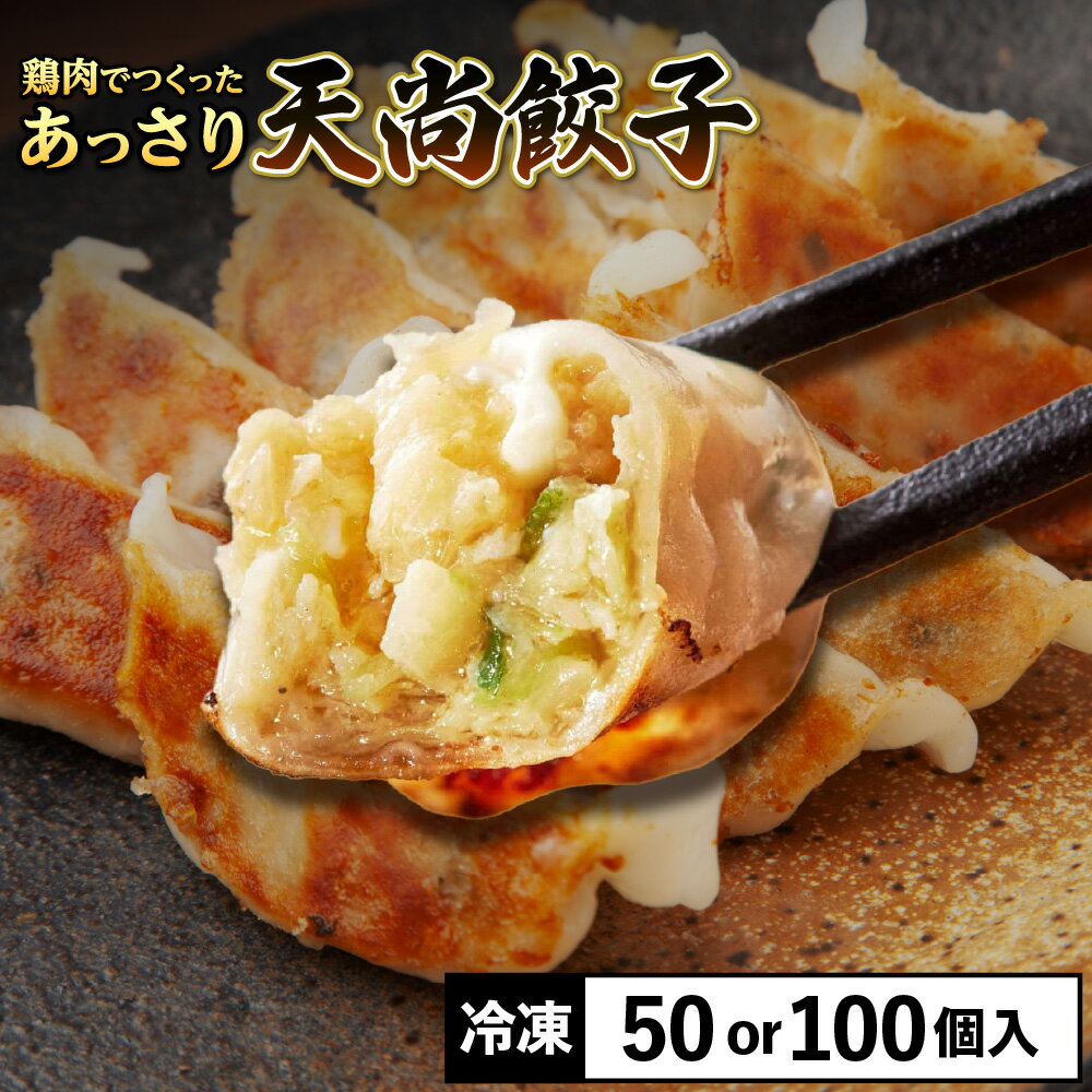 【ふるさと納税】【とり餃子】鶏肉 あっさり 天尚餃子 餃子専門店チャンピオン監修 創業30年 老舗 大阪市生野区 野菜たっぷり ジューシー プロの味 ご家庭用 送料無料 大阪府