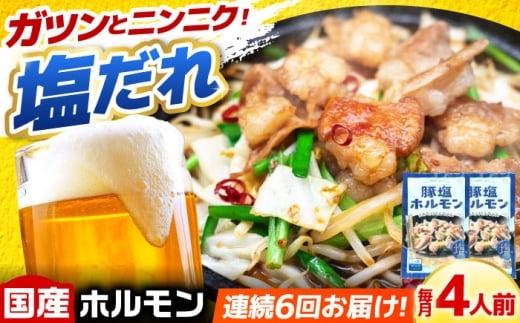 【6回定期便】岐阜県産豚もつの鉄板焼き「元祖みたけとんちゃん」豚塩味 2袋（4人前） / モツ もつ 白もつ ホルモン / 御嵩町 / 藤よし [AVAA059]