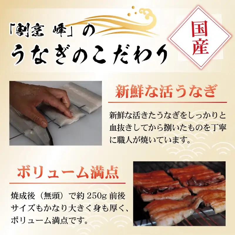うなぎ蒲焼 国産 250g うなぎ