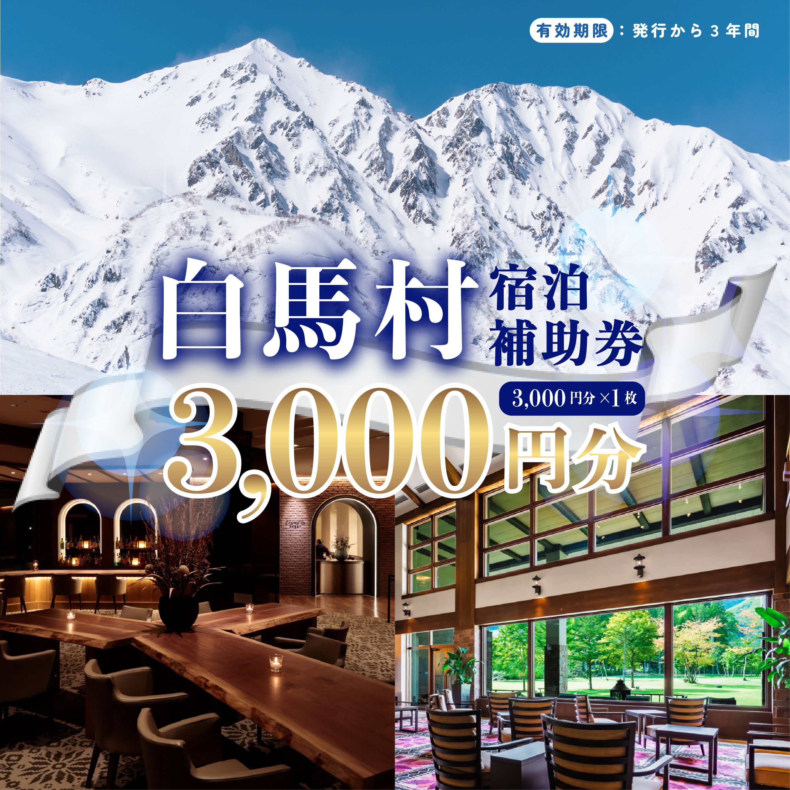 長野県白馬村 宿泊補助券3,000円分(3,000円分×1枚)宿泊補助券 チケット 補助券 ギフト券 贈答 プレゼント 民宿 旅館 ペンション ホテル コンドミニアム 宿泊施設 便利 おすすめ 人気 送料無料【K0130233】