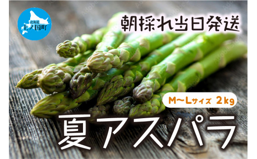 【2025年夏発送】北海道上ノ国町産 わかさ農園の夏アスパラ　M～L（2㎏）