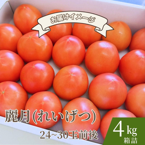 【糖度7度以上】麗月トマト 4kg｜冬期育ちの濃厚な甘み・産地直送の完熟トマト