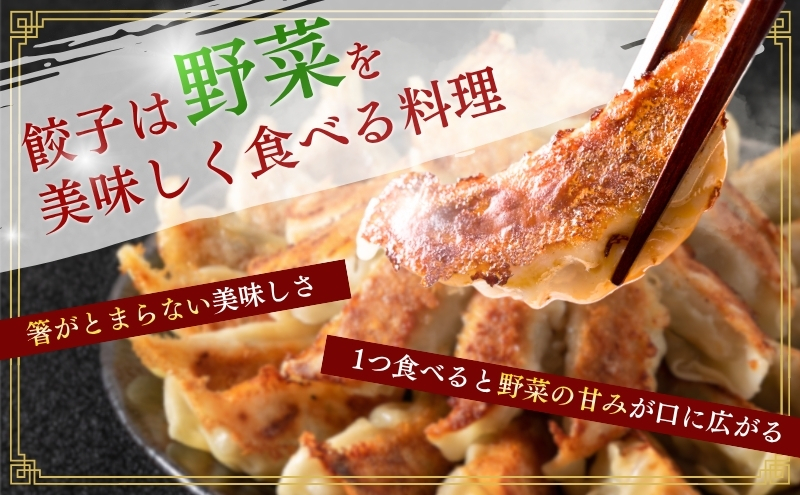 花餃子（22個入×2袋）とにんにく餃子（22個入×2袋）セット