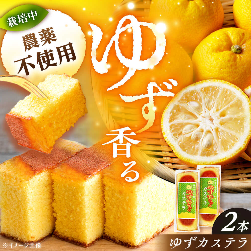 【ふるさと納税】ゆずカステラ 2本 / カステラ かすていら 柚子 柚子カステラ ゆず 和菓子 お菓子 おかし おやつ デザート スイーツ 柚子 ゆず お取り寄せ /恵那市/かさぎゆず組合[AUAW017]