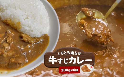 
とろとろ柔らか 牛すじカレー (200g×6袋)
