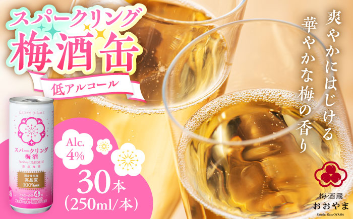 
            スパークリング梅酒 1ケース(250ml×30本入り)　日田市 / 株式会社おおやま夢工房 梅酒 梅 スパークリング [ARCW012]
          