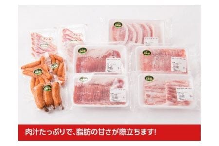 尾鈴豚 豚肉おすすめセット【肉 豚肉 国産 九州産 宮崎県産 豚しゃぶ カツ 焼肉 バーベキュー バラエティ豚肉セット】