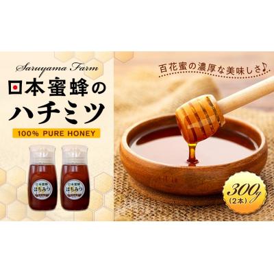 ふるさと納税 栃木市 日本蜜蜂のハチミツ100%!はちみつ(逆さ容器300g2本)