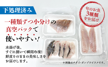 旬の鮮魚 おまかせ3種セット 加熱用 下処理済み 捌き済み 簡単 鮮魚 魚介類 魚セット 愛知県 田原市 海鮮 魚介類 魚 3枚おろし 開き  おすすめ 料理 調理 簡単調理 手軽