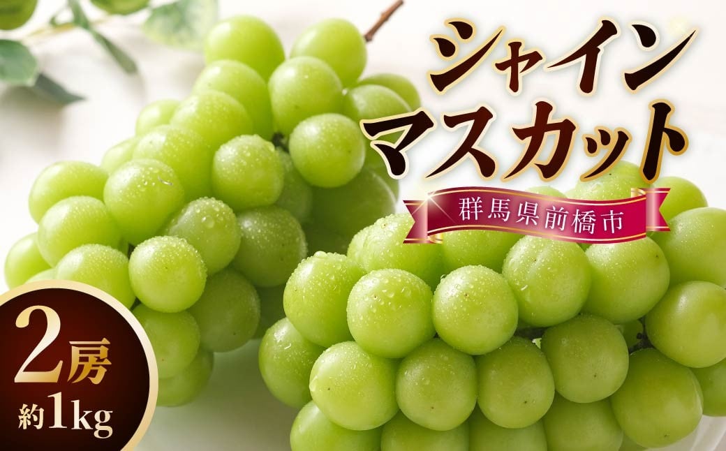 
            【2026 先行予約】シャインマスカット 2房 約1kg 農家直送品 | 朝採れ シャインマスカット 贈答 新鮮 旬 高級 産地直送 果汁 人気 高評価 プレゼント ぶどう フルーツ 群馬県 前橋市 
          