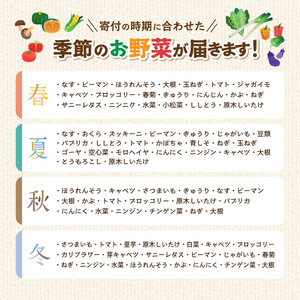 野菜 赤城南麓で育った季節の野菜 8品以上