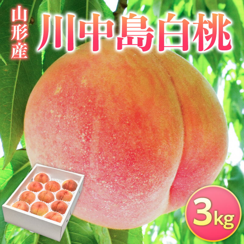 【ふるさと納税】山形県産 川中島白桃 3kg FY26-074