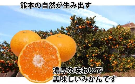 ＜ R8年熊本地震復興支援 ＞みかん 秀品 約10kg ミカン 果物 くだもの フルーツ 果実 極早生みかん 柑橘類 柑橘系 柑橘 国産 熊本県産 露地栽培 【 2026年10月上旬から2027年2月