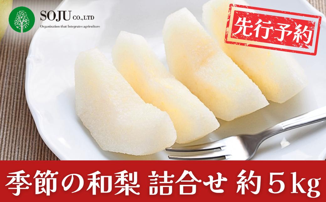 
                  先行予約 季節の和梨詰合せ 約5kg 令和8年度 新潟県 三条市産 梨  [三条果樹専門家集団]【016P043】
                