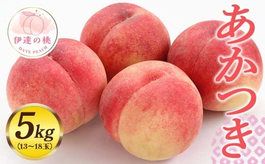 福島県産 あかつき 約5kg 2025年7月下旬～2025年8月上旬発送 先行予約 予約 伊達の桃 桃 もも モモ 果物 くだもの フルーツ 国産 食品 F20C-548