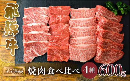 A5等級 飛騨牛 焼肉 4種 食べ比べセット 600g 焼肉 [S549]