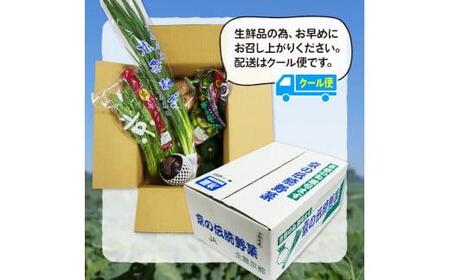 【野菜 定期便12か月】選りすぐり京野菜 旬の野菜定期便12ヶ月 野菜定期便