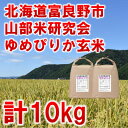 【ふるさと納税】【毎月定期便】北海道富良野市産ゆめぴりか 玄米[5kg×2袋]全3回【4058488】