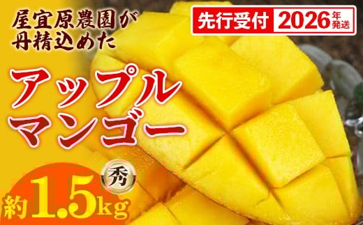 
            【先行受付】【2026年発送】屋宜原農園が丹精込めた「アップルマンゴー」秀約1.5kg - 先行予約 沖縄県産 産地直送 南国フルーツ 旬の味覚 季節の果物 贈り物 ギフト 沖縄県 八重瀬町
          