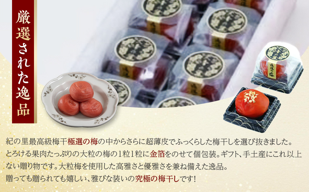 極選の梅 天帝の舞 1箱10粒入り ［Kn11］