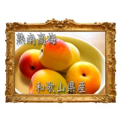 ふるさと納税 紀美野町 【梅干・梅酒用等】紀州和歌山の熟南高 生梅赤秀品(大玉4L-2kg) 6月上旬から7月上旬順次発送