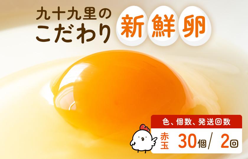 【定期便2回】九十九里ファームこだわりたまご贈答用 30個 ～あおい海・みどりの里～《赤玉》 たまご 卵 玉子 タマゴ 赤玉 卵かけご飯 新鮮 旨み 甘み 贈答用 贈答 ギフト 贈り物 千葉県 匝瑳市
