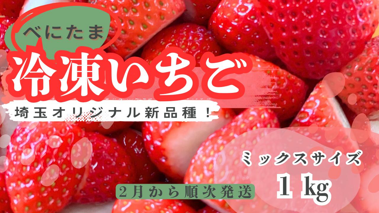 
            【新品種べにたま】冷凍いちご１kg 人気 どらちゃん農園 希少国産 埼玉県 川島町産 ミックスサイズ１㎏ 完熟いちご 冷凍いちご 期間限定
          