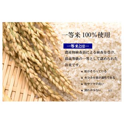 ふるさと納税 宇都宮市 【令和7年産】栃木県産とちぎの星(精米)10kg【5kg×2袋】 |  | 01