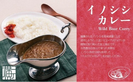 九州・福岡の上質なイノシシ肉を使用 八女ジビエイノシシカレー お試し2食セット【中辛・辛口】 ジビエ 猪 いのしし カレー レトルト おためし ヘルシー 高タンパク スパイシー 食べ比べ 食品 九州 