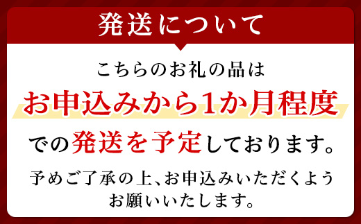 アドバンス ナイト リペア アイ ジェル SMR コンプレックス 15mL + アドバンス ナイト リペア SMR コンプレックス 50mL セット 【 エスティ ローダー ナイトリペア ANR 美容