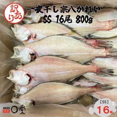 ふるさと納税 宮古市 【訳あり】一夜干しかれい 宗八 SSサイズ16尾
