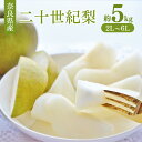 【ふるさと納税】奈良の 二十世紀梨 （ 約5kg ） | フルーツ くだもの 果物 なし ナシ 梨 奈良県 五條市 二十世紀 20世紀