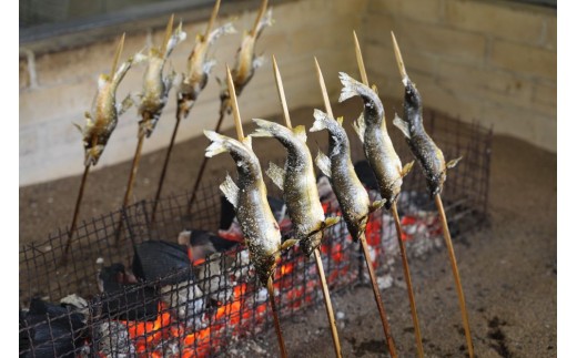 天然鮎 約1kg (7～15尾) こだわりの冷凍 天然 あゆ 川魚 塩焼き 天ぷら 甘露煮 さかな料理 岩手県 北上市 和賀川淡水漁業協同組合 C0621